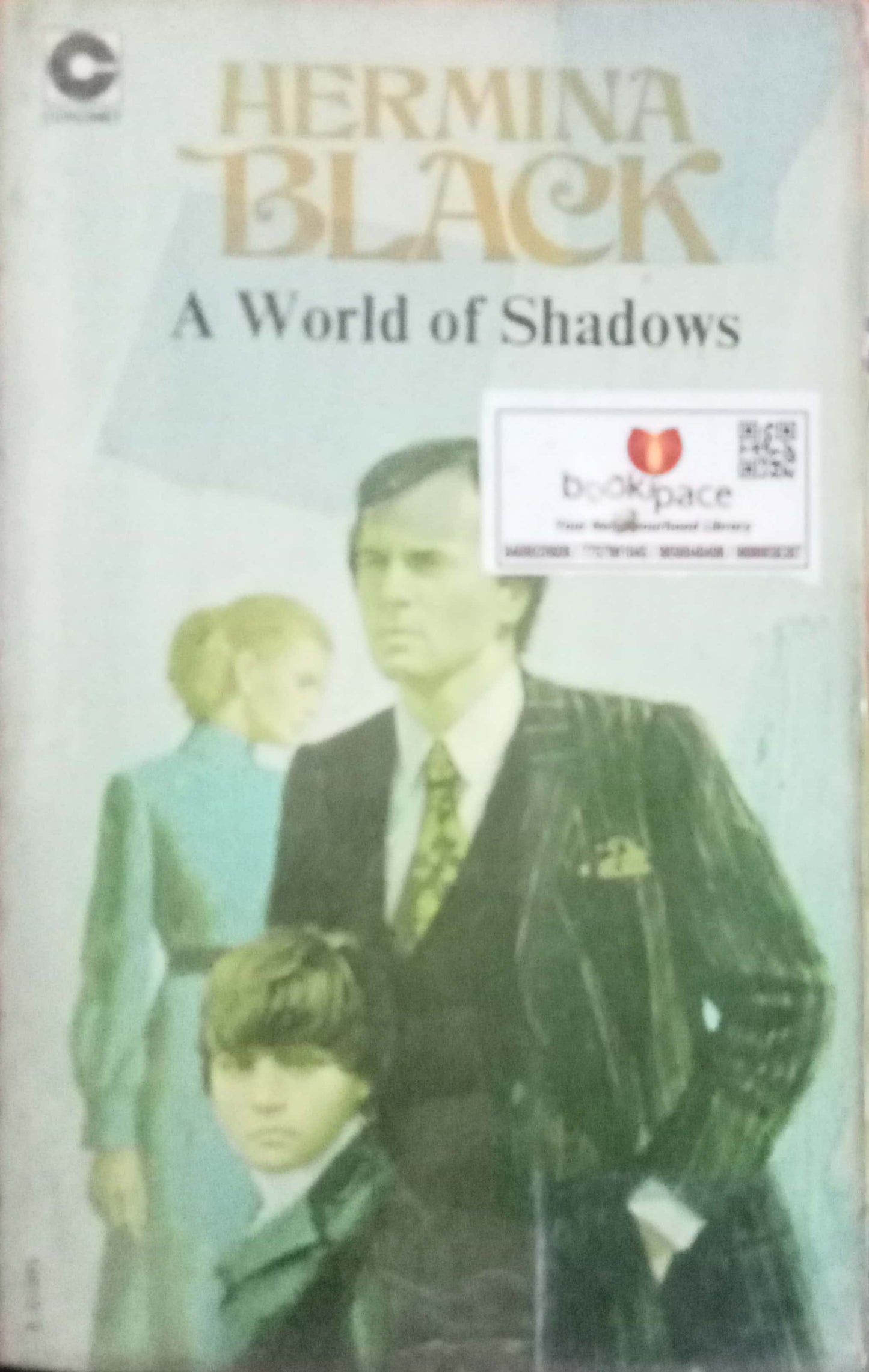 A World Of Shadows by Hermina Black