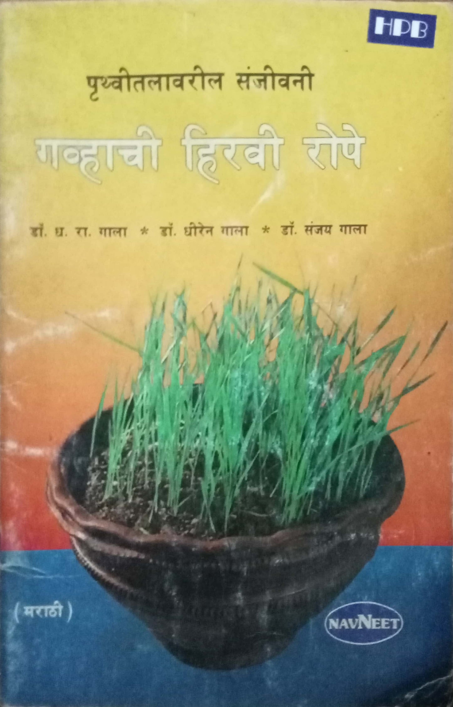 Ghavachi Hiravi Rope by Dr. D.R. Gala