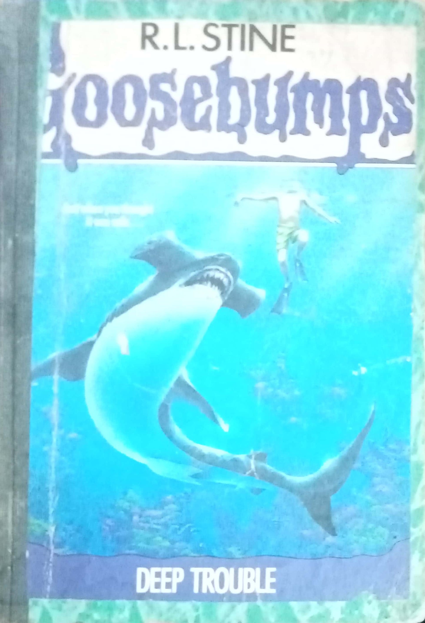 Goosebumps Deep Trouble