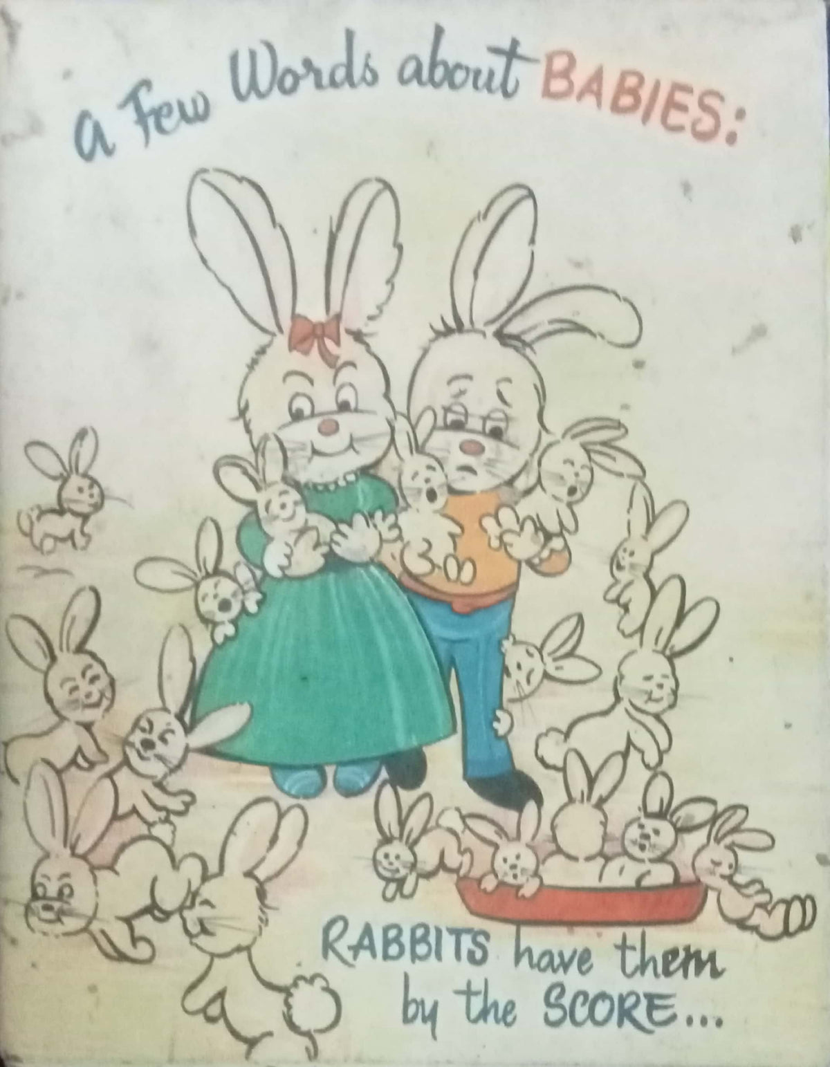 Rabbits Have Them By The Score