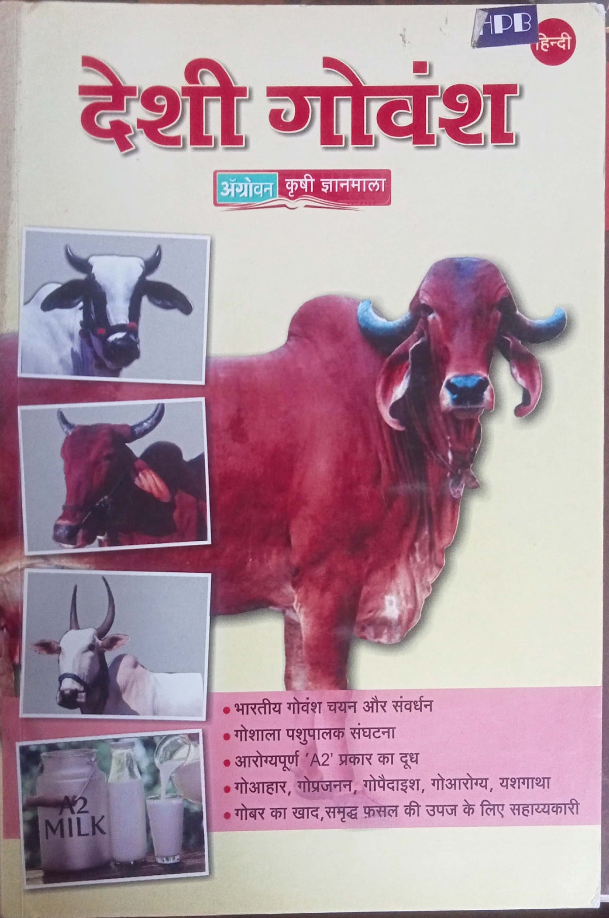 Deshi Govansh