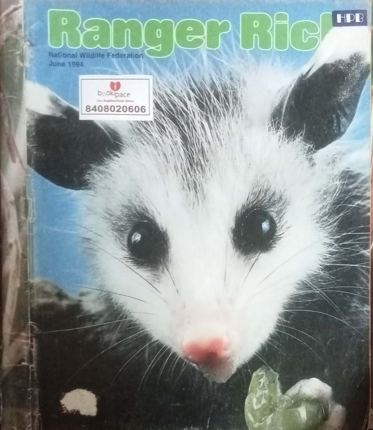 Ranger Rich (HD)