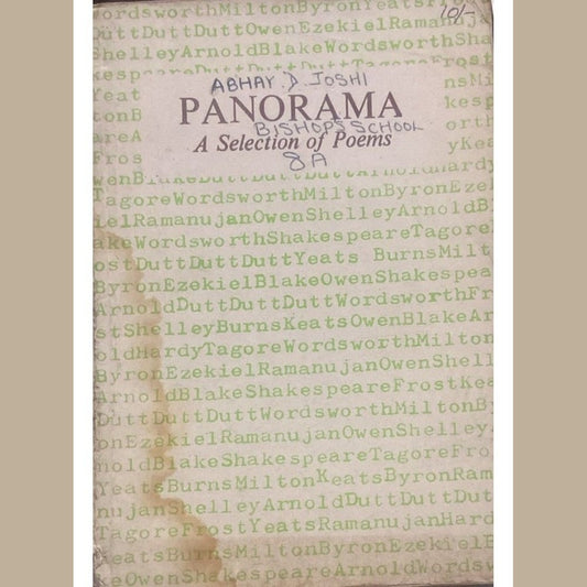 Panorama A Selection of Poems
