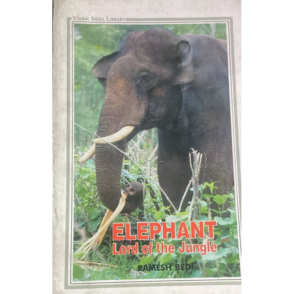 Elephant Lord of the Jungle BY Ramesh Bedi