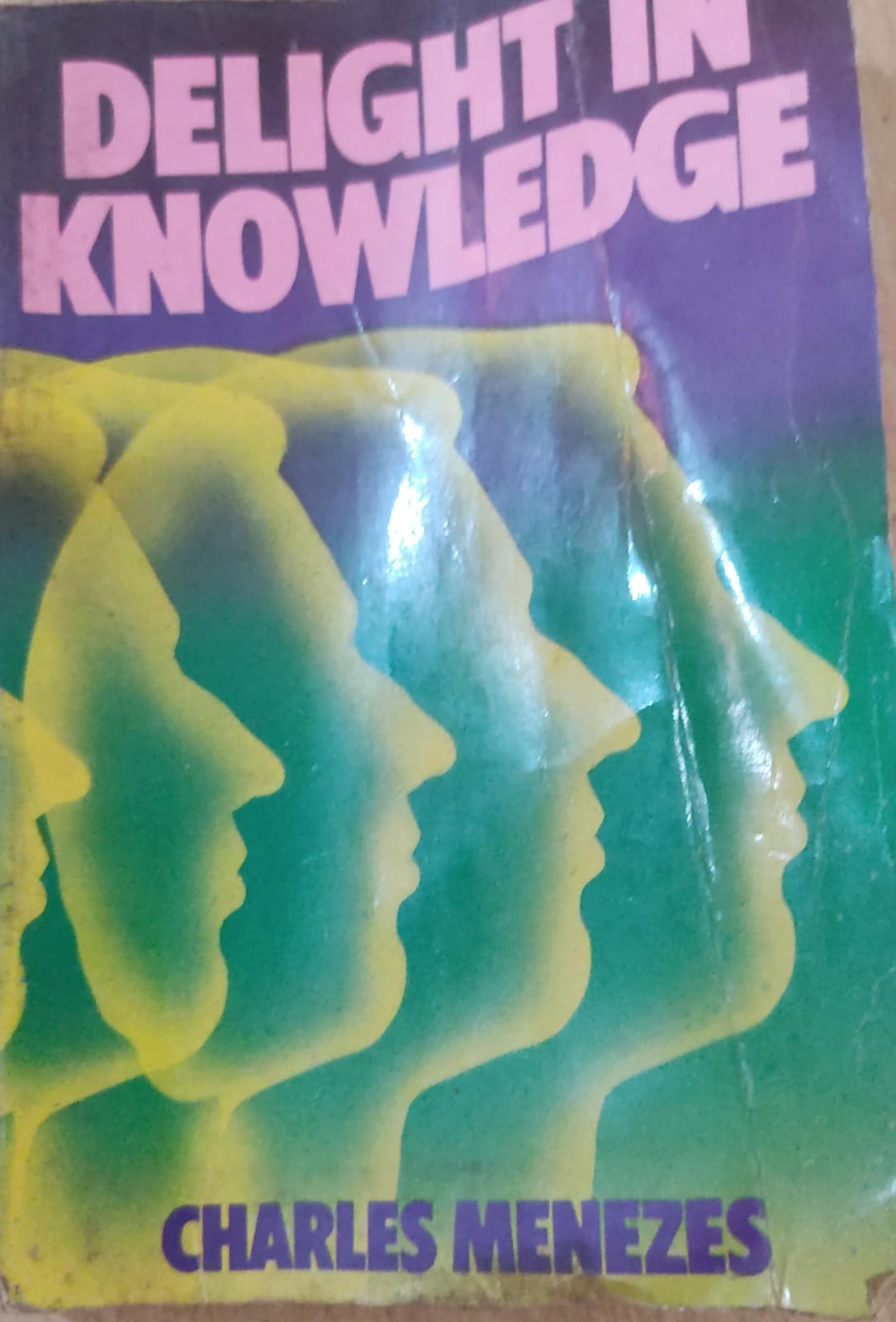 Delight In Knowledge by Charles Menezes