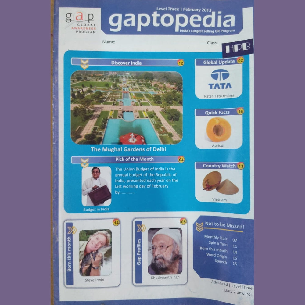 Gaptopedia - Feb - 2013