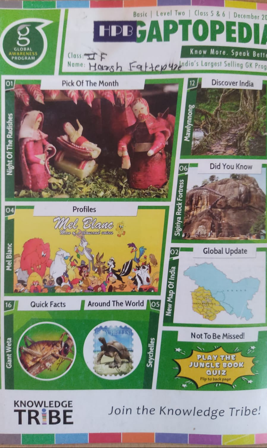 Gaptopedia magazine cover with various sections and images on a wooden surface