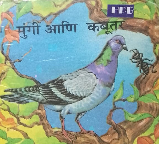 MOONGI ANI KABUTAR