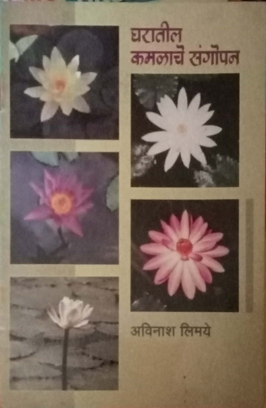 Gharatil Kamalache Sangopan by Aavinash Limaye