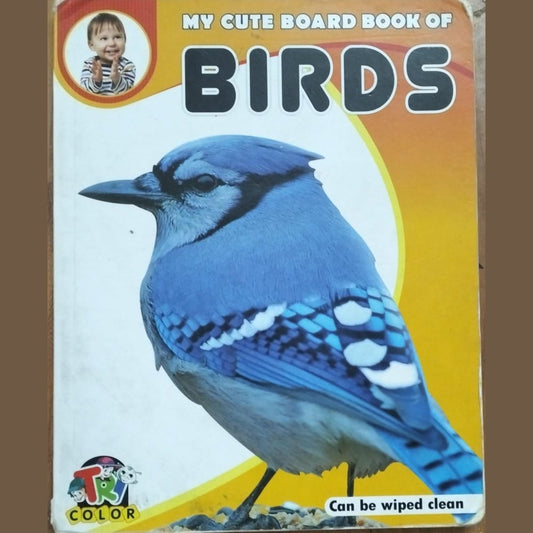 My cute Board Book of Birds