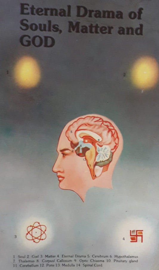 Eternal Drama Of Souls , Matter And God  Half Price Books India Books inspire-bookspace.myshopify.com Half Price Books India