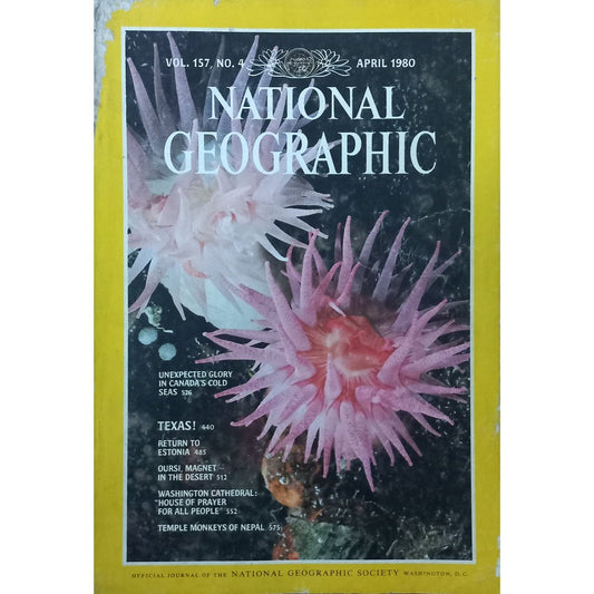 National Geographic April 1980