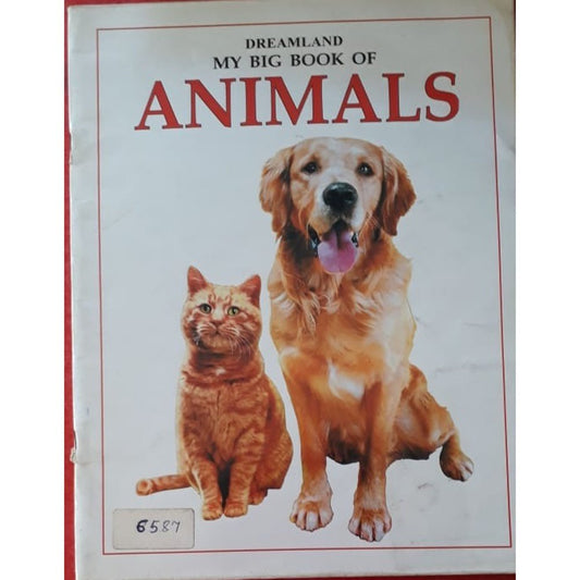 Dreamland My Big Book of Animals  Half Price Books India Books inspire-bookspace.myshopify.com Half Price Books India