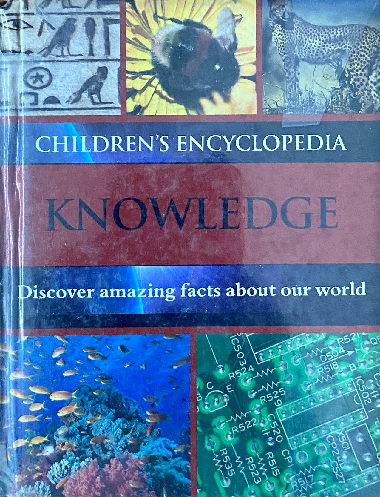 Childrens Encyclopedia Knowledge  Half Price Books India Books inspire-bookspace.myshopify.com Half Price Books India