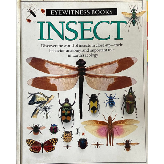 Insect - Eyewitness Books  Half Price Books India Books inspire-bookspace.myshopify.com Half Price Books India