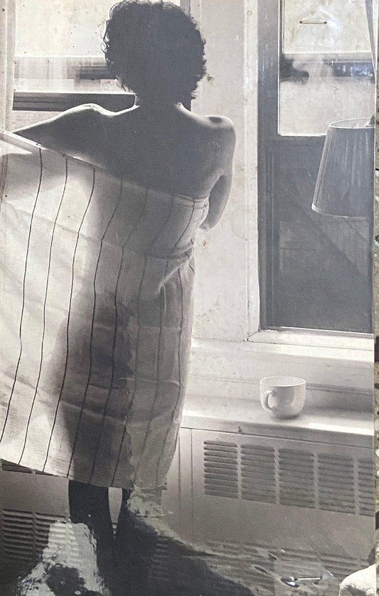 Anatomy of Disappearance by Hisham Matar  Half Price Books India Books inspire-bookspace.myshopify.com Half Price Books India