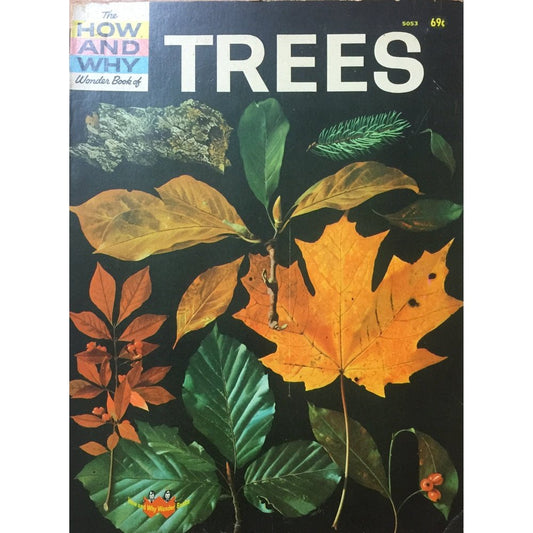 The How and Why Wonder Book of Trees  by Geoffrey Coe (1972)  Half Price Books India Books inspire-bookspace.myshopify.com Half Price Books India