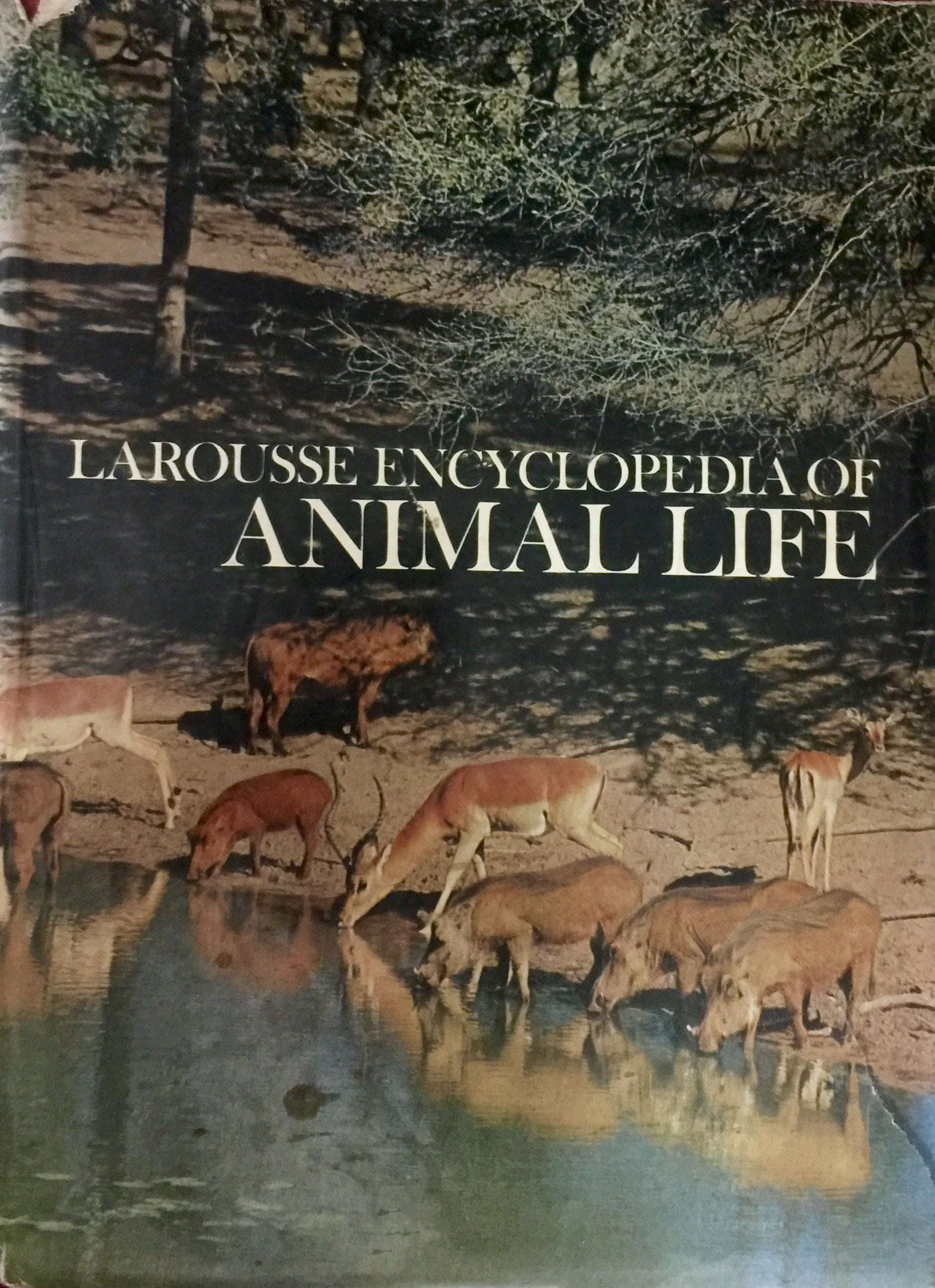 Larousse Encyclopedia of Animal Life by Paul Hamlyn (1973)  Half Price Books India Books inspire-bookspace.myshopify.com Half Price Books India
