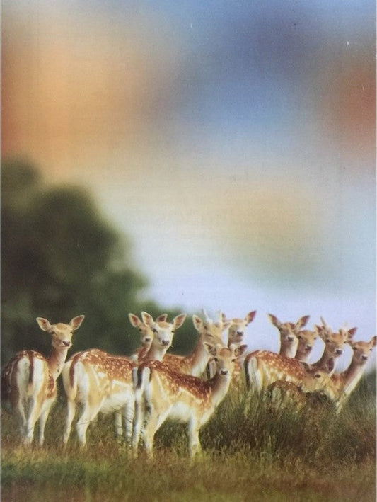 East and West Series Sep 2019