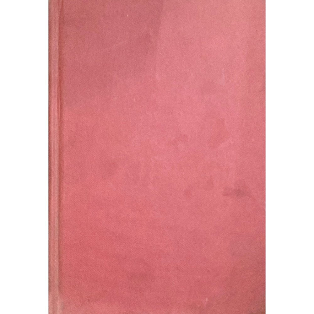 The Fountain of Delight by Anne Weale