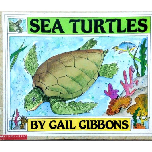 Sea Turtles by Gail Cibbons  Half Price Books India Books inspire-bookspace.myshopify.com Half Price Books India