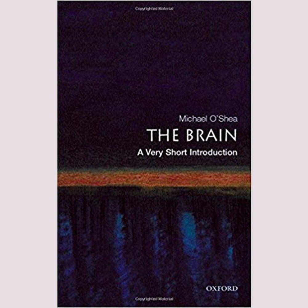 The Brain (Very Short Introductions) By Michael O'Shea  Half Price Books India Books inspire-bookspace.myshopify.com Half Price Books India