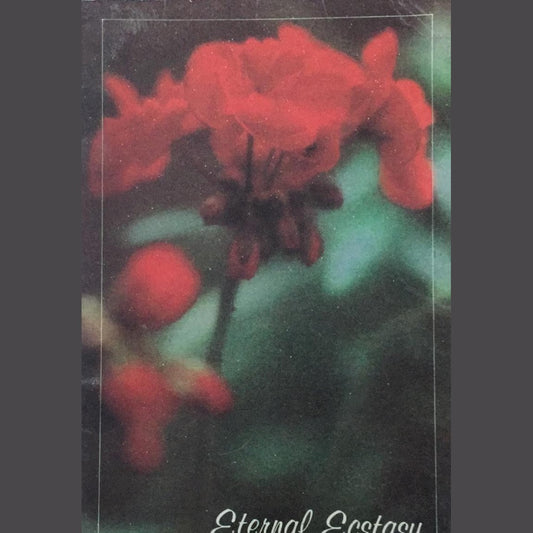 Eternal Ecstasy  Half Price Books India Books inspire-bookspace.myshopify.com Half Price Books India