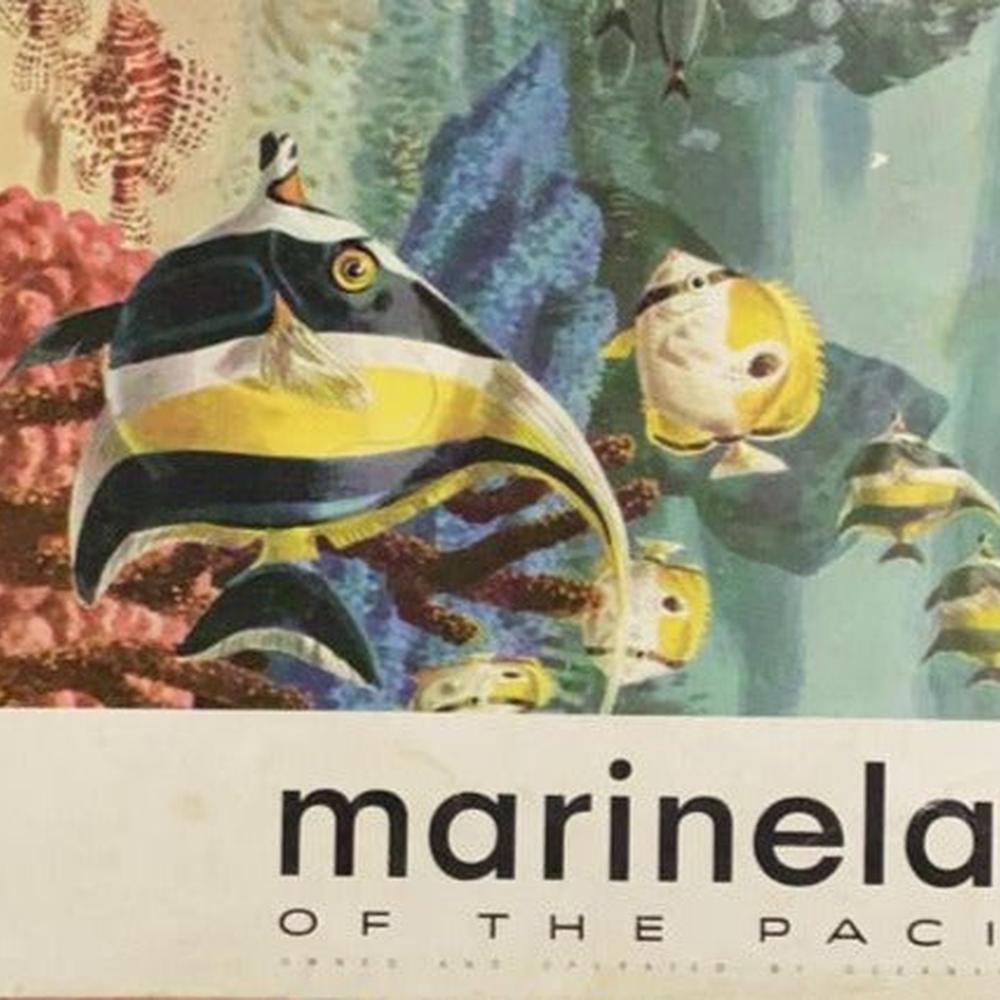 Marine Land of the Pacific  Half Price Books India Books inspire-bookspace.myshopify.com Half Price Books India
