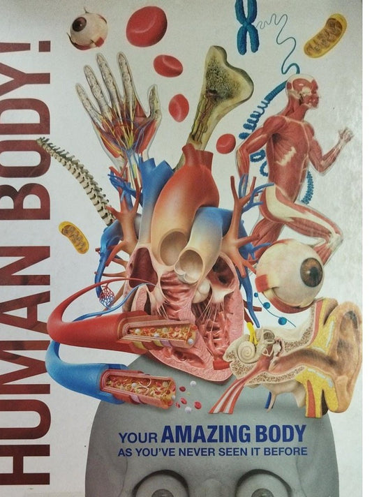 Knowledge Encyclopedia Human Body (Set of 6 Books, 1 Book Missing) (D)