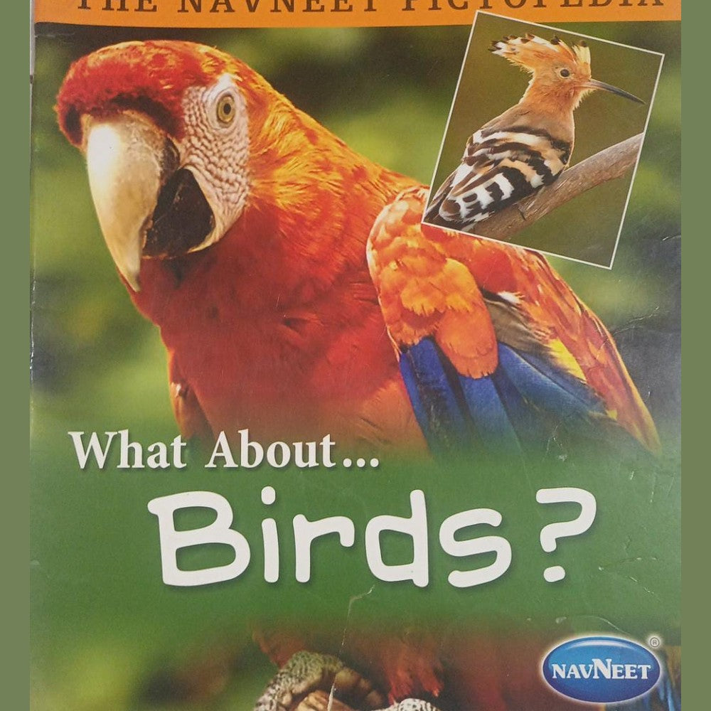 What About Birds