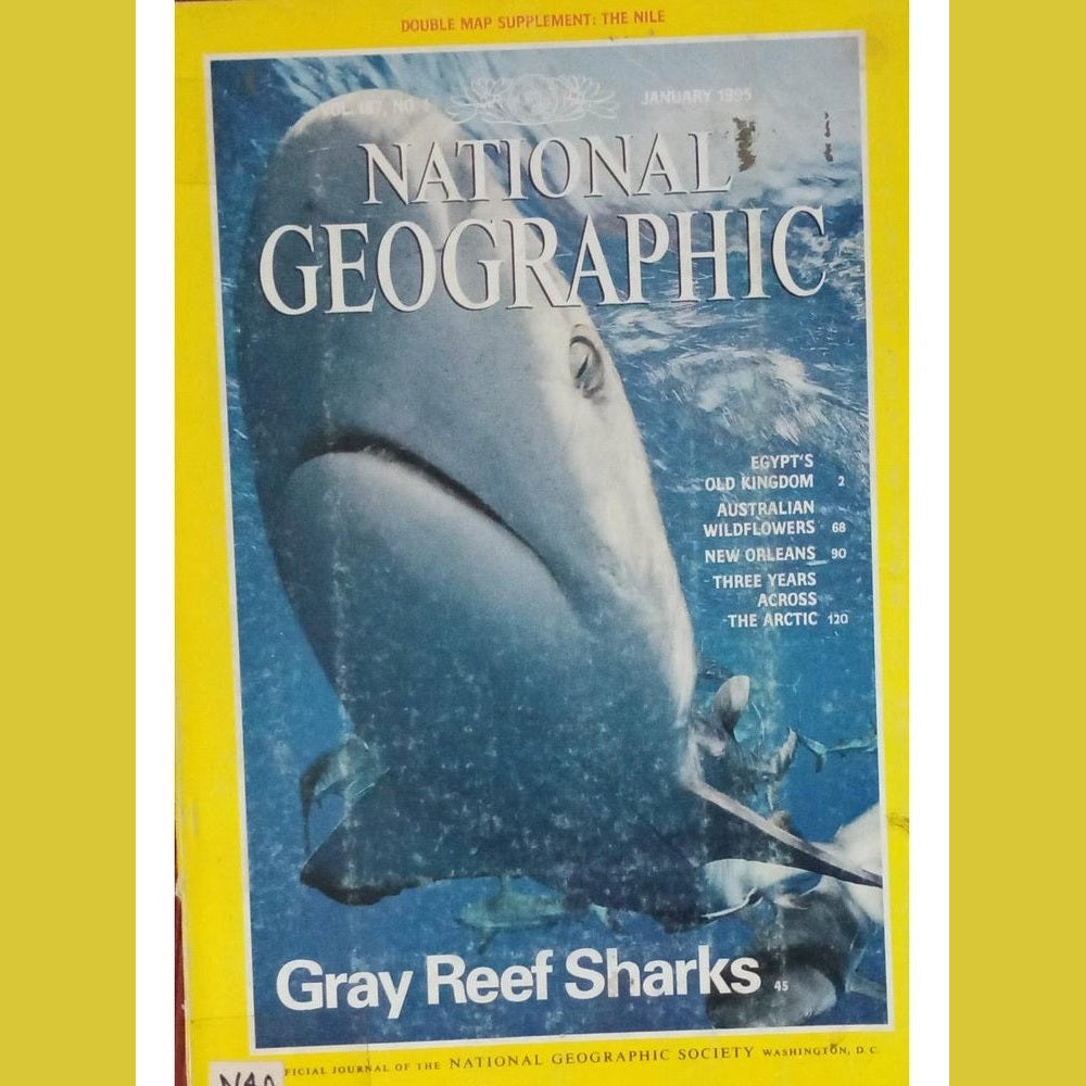 National Geographic January 1995  Half Price Books India Book inspire-bookspace.myshopify.com Half Price Books India